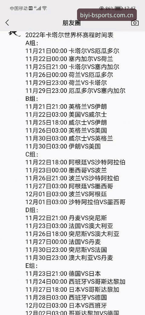 掌握世界杯观赛签证难题的实用应对技巧，助力必一体育平台畅享赛事
